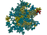 ACP Protein Stick 3D Model preview