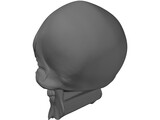 Ainz Ooal Gown Skull 3D Model