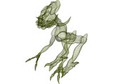 Alien 3D Model