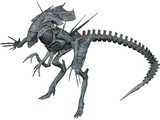 Alien Queen 3D Model preview