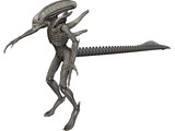 Alien Warrior 3D Model preview