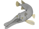 Alligator Gar (Atractosteus Spatula) 3D Model