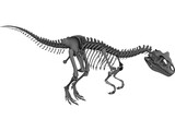 Allosaurus Skeleton 3D Model preview
