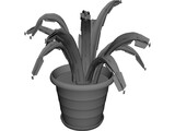 Aloe Plant in a Pot 3D Model preview