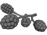 Alveoli 3D Model preview