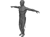 Amerindien 3D Model preview