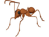 Ant 3D Model preview