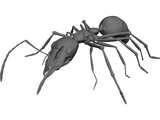Ant 3D Model preview
