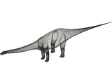 Apatosaurus 3D Model