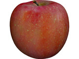 Apple 3D Model preview