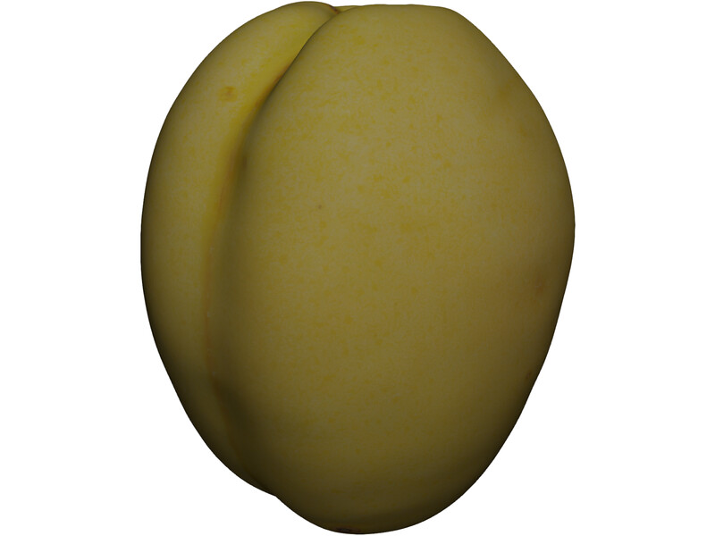 Apricot Fruit 3D Model