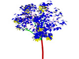 Apricot Tree 3D Model preview