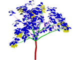 Apricot Tree 3D Model