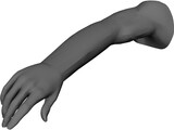 Arm Male 3D Model preview
