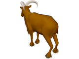 Arrui 3D Model