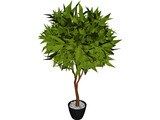 Ash Tree 3D Model preview