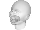 Baby Head 3D Model
