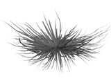 Bacteria 3D Model preview