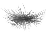 Bacteria 3D Model