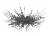 Bacteria 3D Model