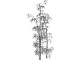 Bamboo Grove 3D Model preview
