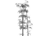 Bamboo Grove 3D Model