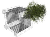 Bamboo Plant 3D Model