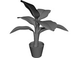 Banana Plant 3D Model preview