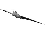 Bat 3D Model preview
