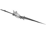 Bat 3D Model