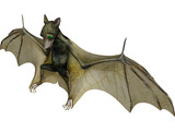 Bat 3D Model preview