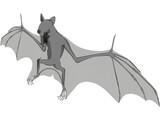 Bat 3D Model