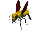 Bee 3D Model preview