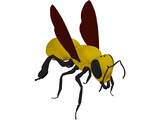 Bee 3D Model
