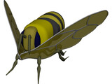 Bee 3D Model preview