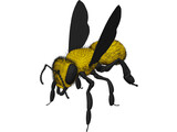 Bee with Fur 3D Model preview