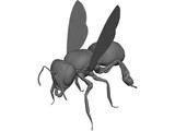 Bee 3D Model preview
