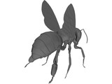 Bee 3D Model