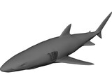 Blue Shark 3D Model preview