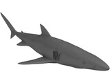 Blue Shark 3D Model