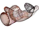 Boxing Gloves 3D Model