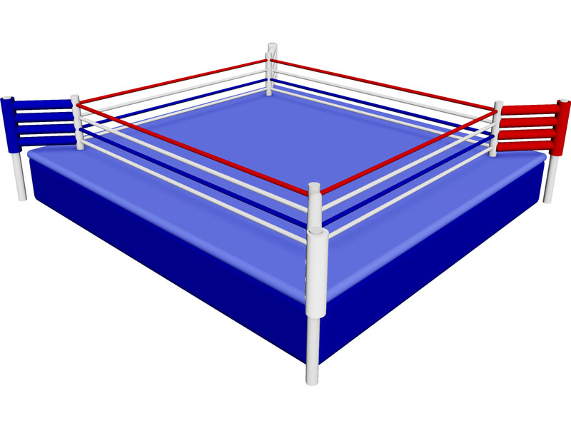 Boxing Ring 3D Model