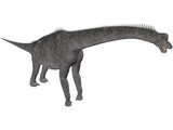 Brachiosaurus 3D Model