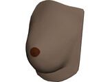 Breast 3D Model preview