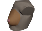 Breast 3D Model preview