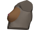 Breast 3D Model