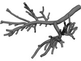 Human Bronchial Tree 3D Model preview