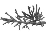 Human Bronchial Tree 3D Model