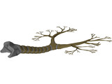 Bronchial Tree 3D Model