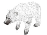 Brown Bear 3D Model